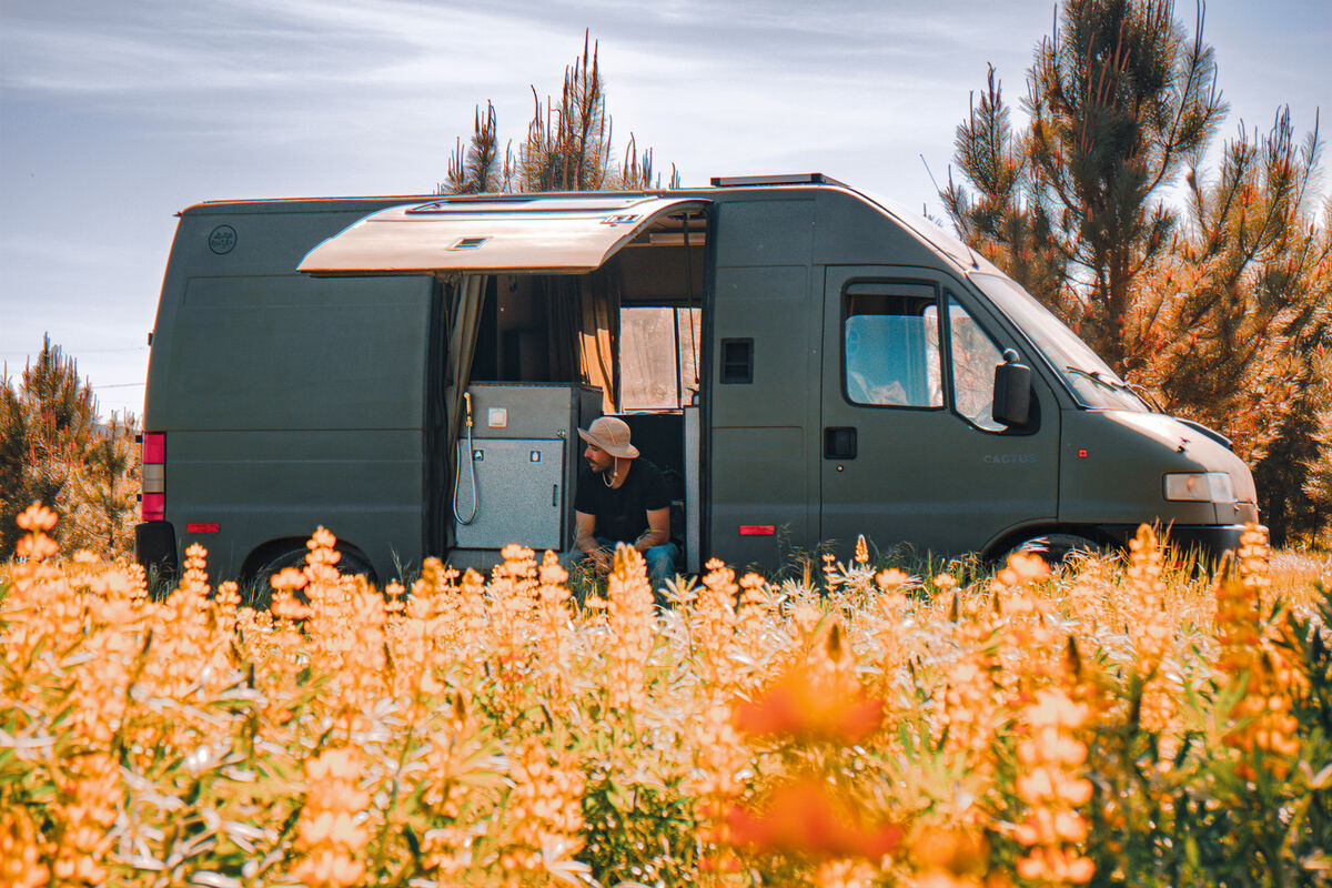 Campervan Cactus (46314689) Campanda.de